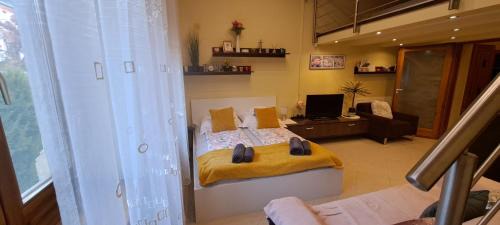 Szeged Apartment | Szandi Belvárosi Apartman