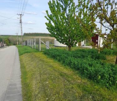 Nagyrecse Other | Szent Márton Jurtaszállás Zalakaros közelében