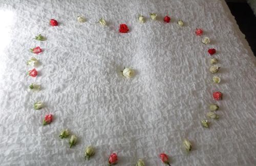 Szeged Bed & Breakfast | Szivárvány Panzió