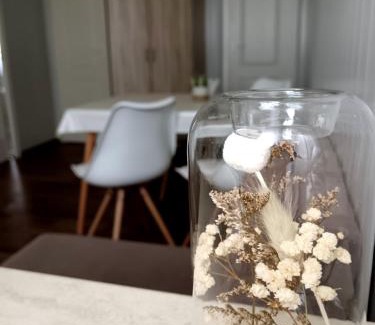 Debrecen Hotel | Szusz Szállás