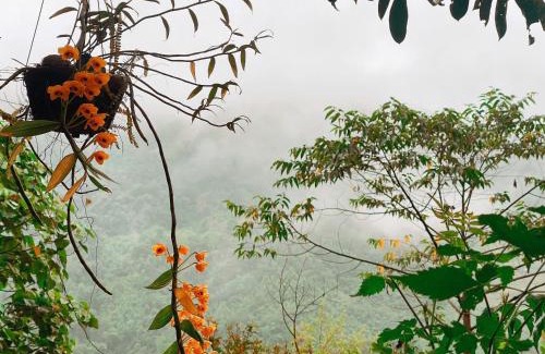 Nam Cang House | Tả Mẩy Homestay