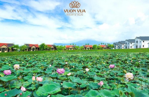 Viet Tri Apartment | Tắm khoáng Onsen mineral bath, Vuon Vua, Thanh Thuy, Phu Tho