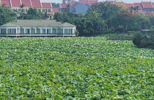 Viet Tri Apartment | Tắm khoáng Onsen mineral bath, Vuon Vua, Thanh Thuy, Phu Tho