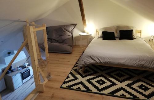 Segre Apartment | T2 Duplex Segré - Hyper centre - Wifi - Netflix