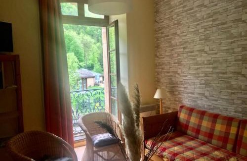 Aulus-les-Bains Apartment | T2 "Le Dahu" Résidence Grand Hôtel appt 102 - village thermal montagne