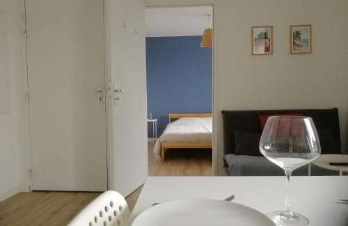 Segre Apartment | T2 lumineux - Segré hyper Centre - Wifi - Netflix