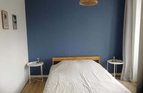 Segre Apartment | T2 lumineux - Segré hyper Centre - Wifi - Netflix