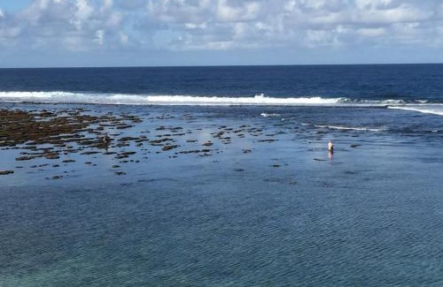 Saint-Pierre Apartment | T2A Lagon Austral "Jardin du lagon"