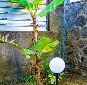 Sainte Marie Apartment | T3 A l'Ombre des Palmiers - Terrasse Jardin & Barbecue - Proche Aéroport