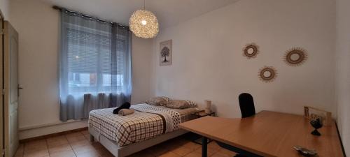Anzin Apartment | T4 rénové 95 m2 cosy confort !