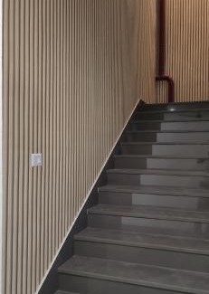 Khattalwada Resort | Taal Resort & Cafe