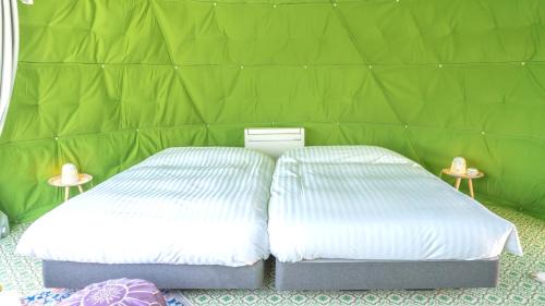 Tako Other | TACO GLAMP