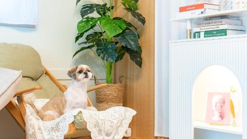 Nam House | Taean WithDog Aegyeonspa Poolvilla