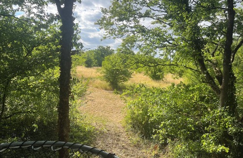 Princay Cabin | Take a breath. Feel it. Reconnect. Make nature your most beautiful room.
