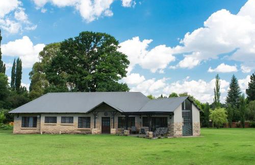 Clarens House | Talking Trees - The sound of silence