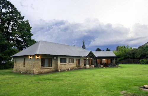 Clarens House | Talking Trees - The sound of silence