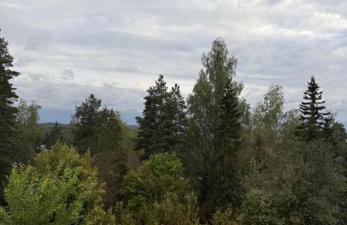 Vaaksy Apartment | Tallukantie Sauna-apartamentti