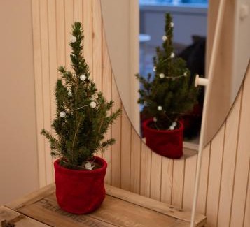 Tervola Apartment | Talo Mustikankukka Tervola, Finland