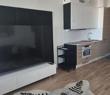 Tampere Apartment | Tampere City studio Areena