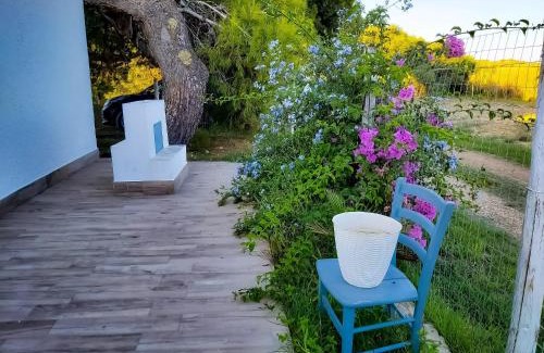 Granelli House | Tancredi's Seaside Home