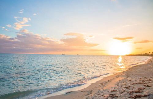 Adelaide House | Tangerine Sunsets Pomelo North