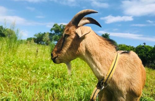 Xincheng House | Taroko Mountain View B&B