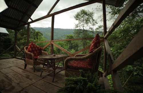 Lebong and Mineral Spring Tea Garden House | Tathagata Farm