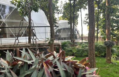 Hazaribagh Other | Tathastu Farms