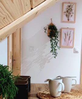 Jurgow Apartment | Tatra Apartament