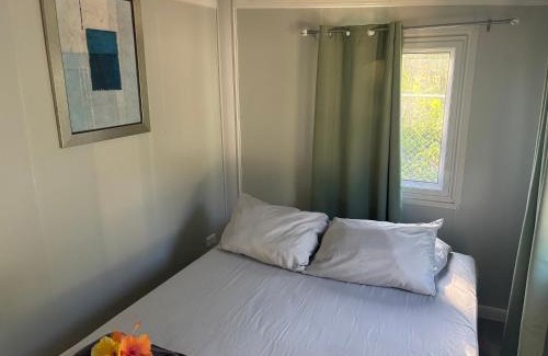 Apia Villa | Taumeasina Island Beach Pods