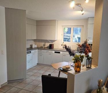 Tegerfelden Apartment | Tegerfelden Weinregion