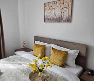 Piatra Neamt Apartment | Tei Residence