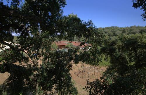 Sao Luis Other | Tent in a Regenerative farm