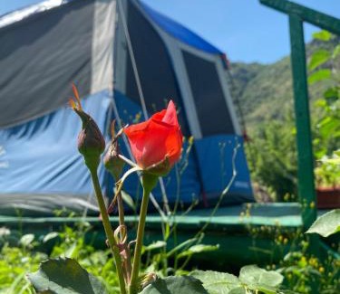 Armenia Other | Tereza glamping