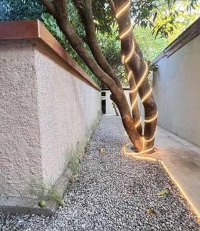 Bandung House | Terra castle Hidden Zen Garden Teuku Angkasa Dago Bandung