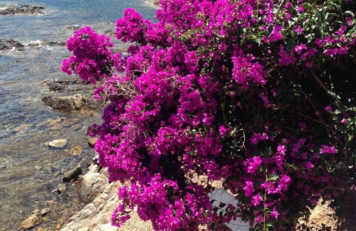 Conca Condo | "Terra Rossa" Le Pacha 3