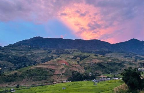 Sa Pa Bed & Breakfast | Terrace House Tả Van