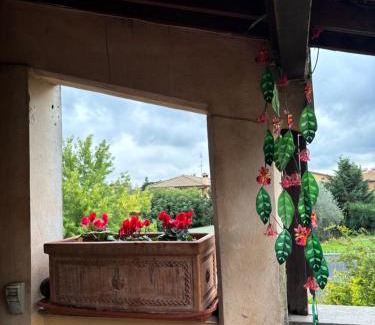 Cesano House | Terrazza dei fiori