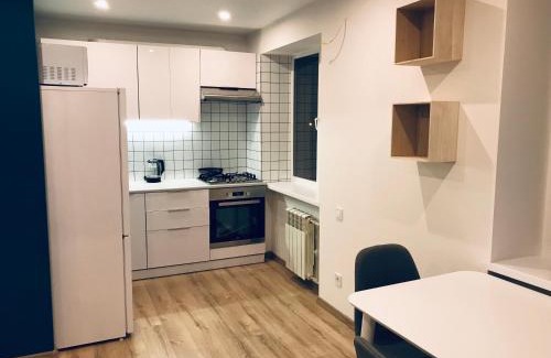 Sukhinovka Apartment | TF Apartment двокімнатні апартаменти в центрі міста