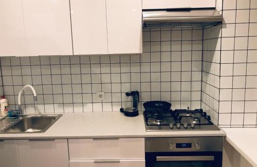 Sukhinovka Apartment | TF Apartment двокімнатні апартаменти в центрі міста