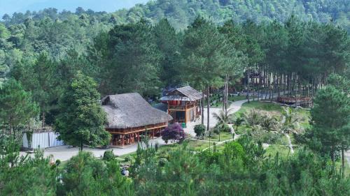 Than Uyen Hotel | Than Uyên Pine Forest