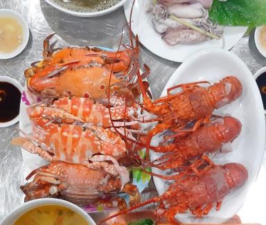 Cua Lo Hotel | Thanh Tu Hotel