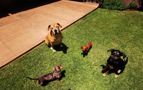 Kloof House | The Anchorage Krantzkloof