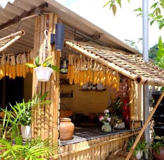 Cao Phong Cabin | The Bare Nest Retreat