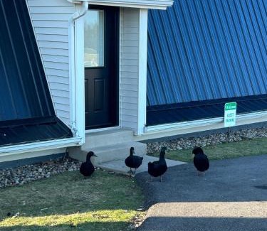 Millersburg Apartment | The Barn at Sharp Run-Modern Barn in the heart of Amish Country