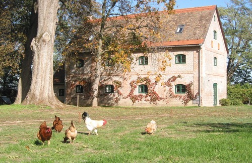 Keleviz House | The Bat Barn, Guest House and Hunting Lodge