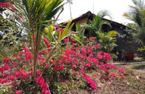 Agonda Hotel | The Bay Agonda Goa