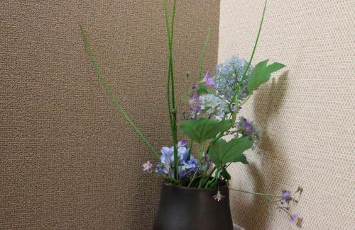 Shirako Apartment | The Beach Inn SHIRAKO