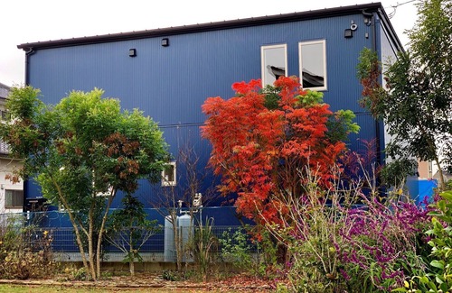 Yachimata House | The bedroom where the scent of the sun and wood/Yachimata Chiba