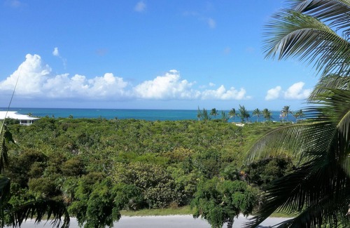 Providenciales Condo | The Best of Everything in Providenciales, Part II